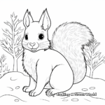 Squirrel in its Winter Fur: Coloring Sheets 3