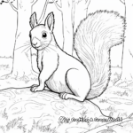 Squirrel in Nature: Forest-Scene Coloring Pages 1