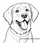 St Bernard Dog Show Coloring Pages 2