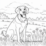 St Bernard Dog Show Coloring Pages 4