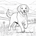 St Bernard in Action Coloring Pages 1