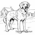 St Bernard in Action Coloring Pages 4