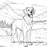 St Bernard in The Mountains: Scenic Coloring Pages 2