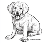 St Bernard with Other Breed Dogs Coloring Pages 1