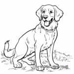 St Bernard with Other Breed Dogs Coloring Pages 2