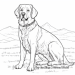 St Bernard with Other Breed Dogs Coloring Pages 3