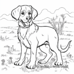 St Bernard with Other Breed Dogs Coloring Pages 4