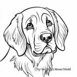 St. Bernard Head Coloring Page for Kids 1