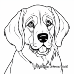 St. Bernard Head Coloring Page for Kids 2