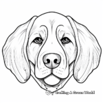 St. Bernard Head Coloring Page for Kids 3