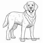 St. Bernard Rescue Dog Coloring Pages 4
