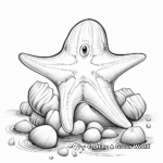 Starfish and Seashells Coloring Pages 4