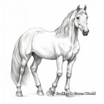 Stunning Arabian Horse Coloring Pages 1