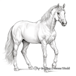 Stunning Arabian Horse Coloring Pages 3