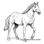 Stunning Arabian Stallion Coloring Pages 1