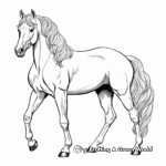 Stunning Arabian Stallion Coloring Pages 2