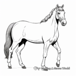 Stunning Arabian Stallion Coloring Pages 4