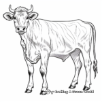 Stunning Ayrshire Cow Coloring Sheets 1