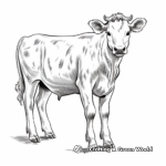 Stunning Ayrshire Cow Coloring Sheets 3