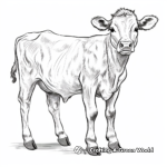 Stunning Ayrshire Cow Coloring Sheets 4