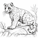 Stunning Clouded Leopard Coloring Pages 2