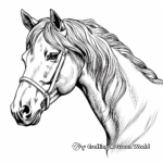 Stunning Friesian Horse Head Coloring Pages 1
