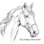 Stunning Friesian Horse Head Coloring Pages 3