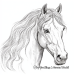 Stunning Friesian Horse Head Coloring Pages 4