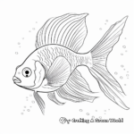Stunning Japanese Angelfish Coloring Pages 2
