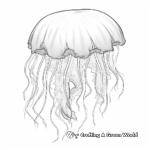 Stunning Jellyfish Coloring Pages 1