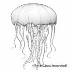 Stunning Jellyfish Coloring Pages 2