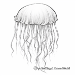 Stunning Jellyfish Coloring Pages 3