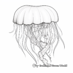 Stunning Jellyfish Coloring Pages 4