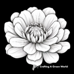 Stunning Lotus Flower Coloring Pages 3