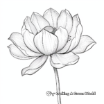 Stunning Lotus Flower Coloring Pages 4