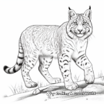Stunning Lynx Wildcat Coloring Pages 1