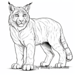 Stunning Lynx Wildcat Coloring Pages 2