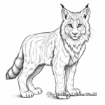 Stunning Lynx Wildcat Coloring Pages 4