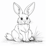 Stunning March Hare Rabbit Coloring Pages 1
