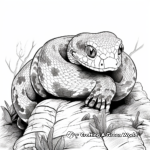Stunning Pearl Island Boa Constrictor Coloring Pages 2
