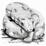 Stunning Pearl Island Boa Constrictor Coloring Pages 3
