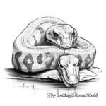 Stunning Red-Tail Boa Constrictor Coloring Pages 1