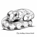 Stunning Red-Tail Boa Constrictor Coloring Pages 4
