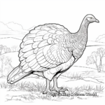 Stunning Roosting Wild Turkey Coloring Pages 2