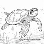 Stunning Sea Turtle Coloring Pages 1
