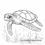 Stunning Sea Turtle Coloring Pages 2