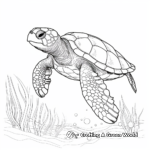 Stunning Sea Turtle Coloring Pages 4