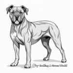 Stunning Show Dog Cane Corso Coloring Pages 1