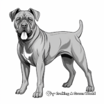 Stunning Show Dog Cane Corso Coloring Pages 2