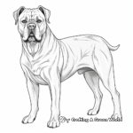 Stunning Show Dog Cane Corso Coloring Pages 3